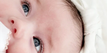 Townhouse Blankets: Luxury Comfort for Every Home