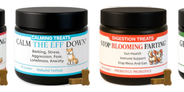 Supporting Your Pet’s Well‑Being with Pets Calm Down