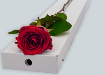 Luxury Flowers and Gifts with Interflora
