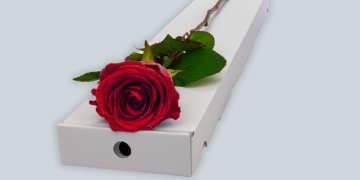 Luxury Flowers and Gifts with Interflora