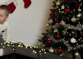 A detailed look at what makes Zonky stand out