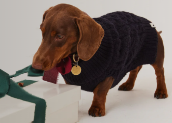 What Makes Peregrine Clothing Stand Out