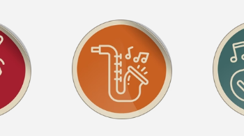 A Closer Look at What Makes Vinyl Castle Stand Out