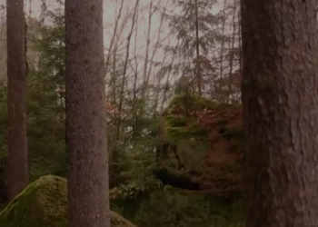 What makes the brand stand out