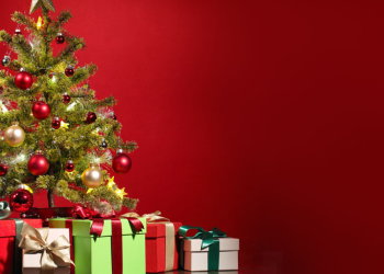 Portable Comfort and Design with Everywhere Chair