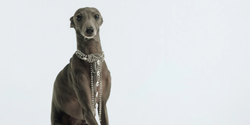 Ce qui rend Bimba y Lola particulier