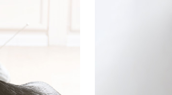 SimplySupplements : une marque axée sur la qualité des compléments alimentaires