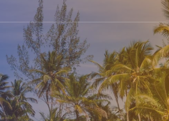 LOL Travel: servizi di viaggio pensati per te