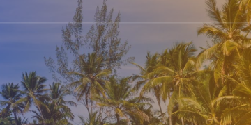 LOL Travel: servizi di viaggio pensati per te