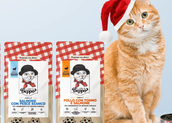 Gatto con Personalità: prodotti per gatti di alta qualità