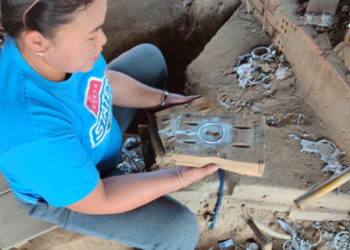 Prodotti e collezioni NowarFactory