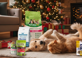 Prodotti e assortimento Bauzaar