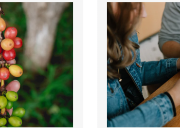 Caffè Alma: L’Eccellenza del Caffè Italiano Online