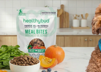 Why Pet Owners Are Turning to Healthybud