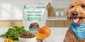 Why Pet Owners Are Turning to Healthybud
