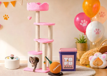 Parmedu CO.,LIMITED: Bringing Style and Comfort to Modern Pet Living