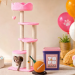 Parmedu CO.,LIMITED: Bringing Style and Comfort to Modern Pet Living