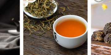 TeaVivre: Chinese Tea, Carefully Selected and Shipped Worldwide