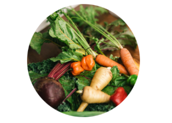 Dr. Cowan’s Garden: A Different Approach to Vegetable Powders