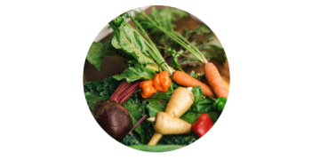 Dr. Cowan’s Garden: A Different Approach to Vegetable Powders
