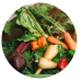 Dr. Cowan’s Garden: A Different Approach to Vegetable Powders